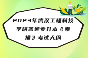 2023年武漢工程科技學(xué)院普通專升本《素描》考試大綱