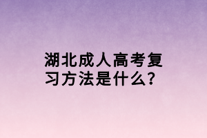 湖北成人高考復習方法是什么？