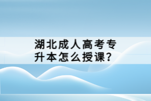 湖北成人高考專升本怎么授課？