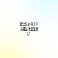 武漢儀表電子學校招生計劃是什么？