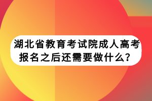 湖北省教育考試院成人高考報(bào)名之后還需要做什么？