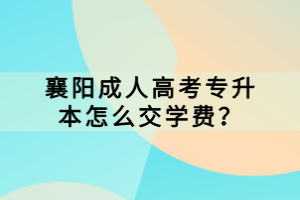 襄陽成人高考專升本怎么交學(xué)費(fèi)？