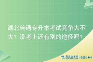 湖北普通專升本考試競爭大不大？沒考上還有別的途徑嗎？