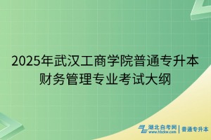 2025年武漢工商學(xué)院普通專(zhuān)升本財(cái)務(wù)管理專(zhuān)業(yè)考試大綱