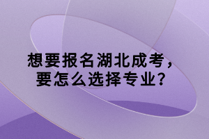 想要報(bào)名湖北成考，要怎么選擇專業(yè)？