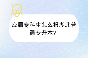 應(yīng)屆?？粕趺磮?bào)湖北普通專升本？