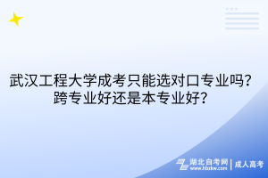 武漢工程大學(xué)成考只能選對口專業(yè)嗎？跨專業(yè)好還是本專業(yè)好？