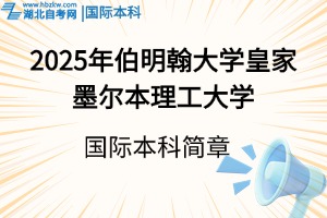 2025年伯明翰大學皇家墨爾本理工大學國際本科招生簡章