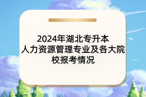 2024年湖北專升本人力資源管理專業(yè)及各大院校報考情況