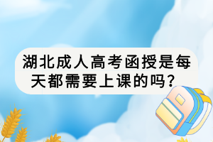 湖北成人高考函授是每天都需要上課的嗎？