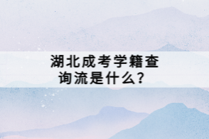 湖北成考學(xué)籍查詢流是什么？