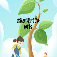 武漢中職中專學(xué)校有哪些？