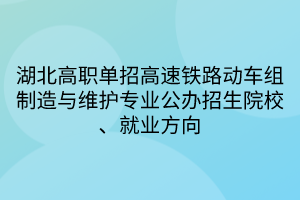 湖北高職單招高速鐵路動(dòng)車組制造與維護(hù)專業(yè)公辦招生院校、就業(yè)方向