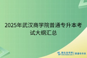 2025年武漢商學院普通專升本考試大綱匯總