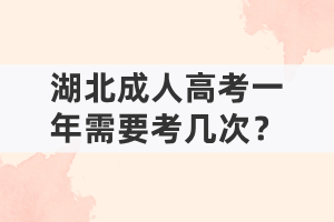 湖北成人高考一年需要考幾次？