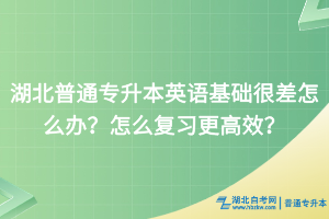 湖北普通專升本英語基礎(chǔ)很差怎么辦？怎么復(fù)習(xí)更高效？