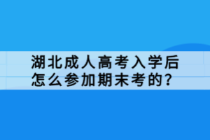 湖北成人高考入學后怎么參加期末考的？