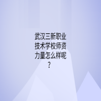 武漢三新職業(yè)技術(shù)學(xué)校師資力量怎么樣呢？