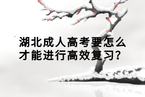 湖北成人高考要怎么才能進(jìn)行高效復(fù)習(xí)？