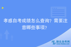 孝感自考成績(jī)?cè)趺床樵?？需要注意哪些事?xiàng)？