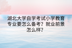 湖北大學(xué)自學(xué)考試小學(xué)教育專業(yè)要怎么備考？就業(yè)前景怎么樣？