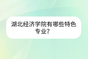 湖北經(jīng)濟學院有哪些特色專業(yè)？