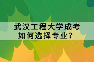 武漢工程大學(xué)成考如何選擇專業(yè)？