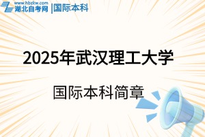 2025年武漢理工大學國際本科招生簡章