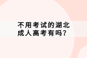 不用考試的湖北成人高考有嗎？