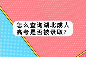 怎么查詢湖北成人高考是否被錄??？