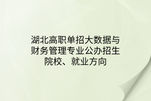 湖北高職單招大數(shù)據(jù)與財(cái)務(wù)管理專業(yè)公辦招生院校、就業(yè)方向