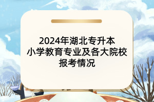 2024年湖北專升本小學(xué)教育專業(yè)及各大院校報(bào)考情況