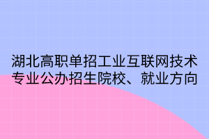 湖北高職單招工業(yè)互聯(lián)網(wǎng)技術專業(yè)公辦招生院校、就業(yè)方向