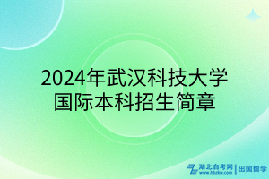 2024年武漢科技大學(xué)國際本科招生簡章