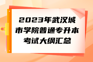2023年武漢城市學(xué)院普通專升本考試大綱匯總