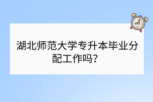 湖北師范大學(xué)專(zhuān)升本畢業(yè)分配工作嗎？
