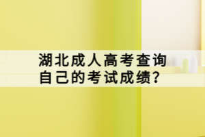 湖北成人高考查詢自己的考試成績？