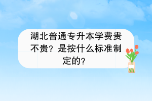 湖北普通專升本學(xué)費(fèi)貴不貴？是按什么標(biāo)準(zhǔn)制定的？