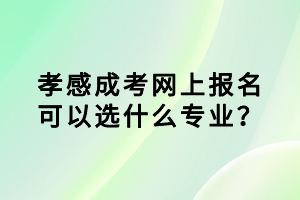 孝感成考網(wǎng)上報名可以選什么專業(yè)？