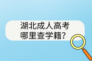 湖北成人高考哪里查學(xué)籍？