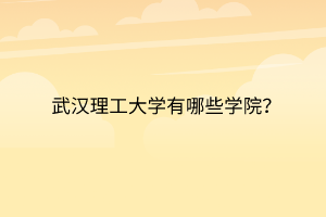 武漢理工大學有哪些學院？
