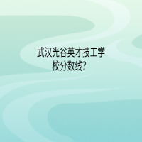 武漢光谷英才技工學(xué)校分?jǐn)?shù)線？