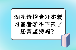 湖北統(tǒng)招專升本復(fù)習(xí)備考學(xué)不下去了還要堅(jiān)持嗎？