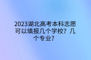 2023湖北高考本科志愿可以填報(bào)幾個(gè)學(xué)校？幾個(gè)專業(yè)？