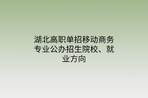 湖北高職單招移動商務專業(yè)公辦招生院校、就業(yè)方向