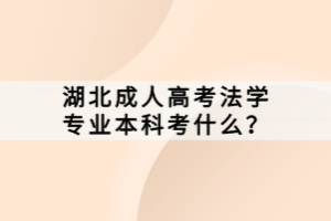 湖北成人高考法學(xué)專業(yè)本科考什么？