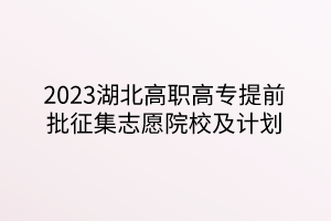 2023湖北高職高專提前批征集志愿院校及計劃