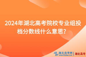 2024年湖北高考院校專業(yè)組投檔分?jǐn)?shù)線什么意思？