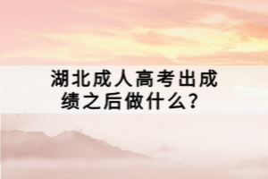 湖北成人高考出成績之后做什么？