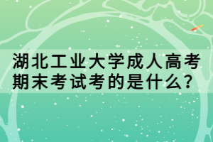 湖北工業(yè)大學(xué)成人高考期末考試考的是什么？